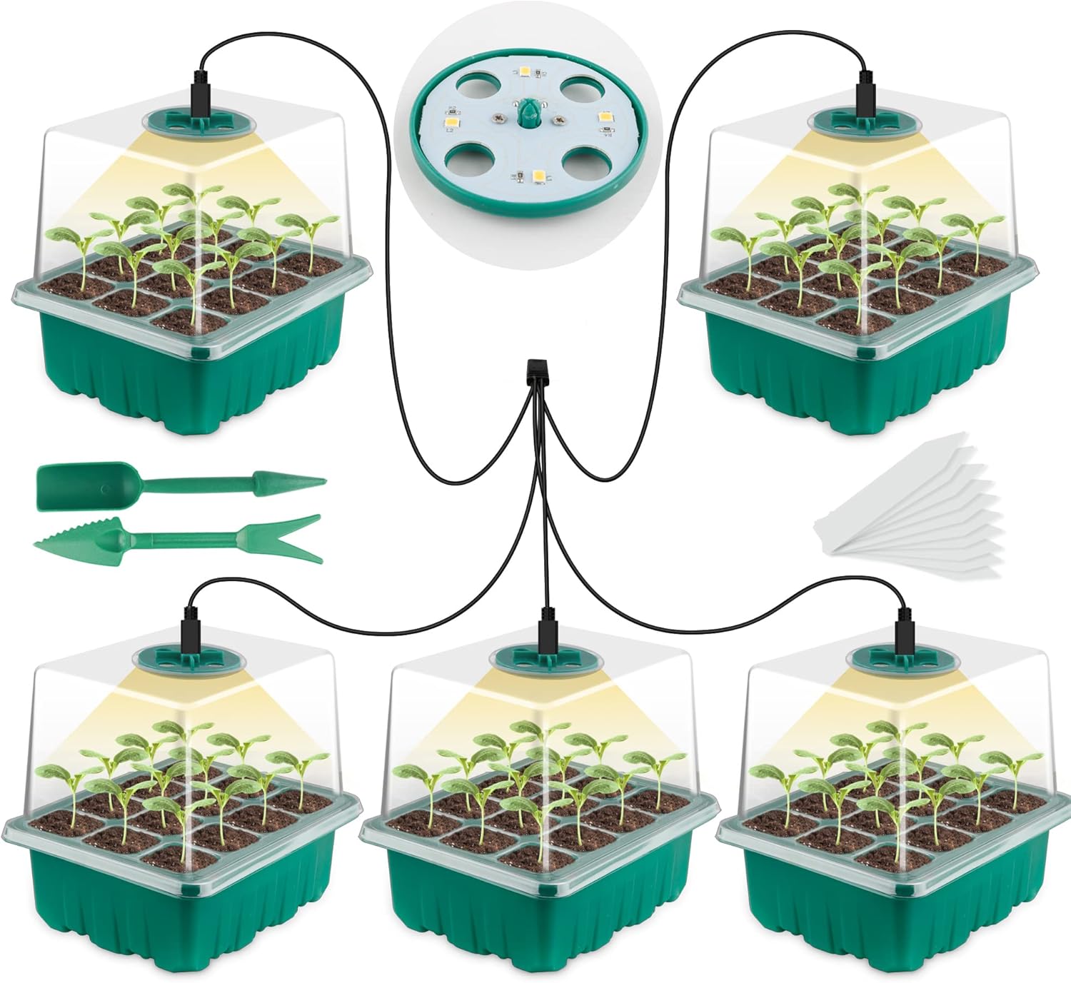 Seed Starter Trays - Seed Starter Tray with Grow Light,