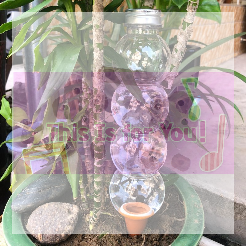 Gardening Tools In - 【MA】1Pcs Creative Automatic Water Device Plant
