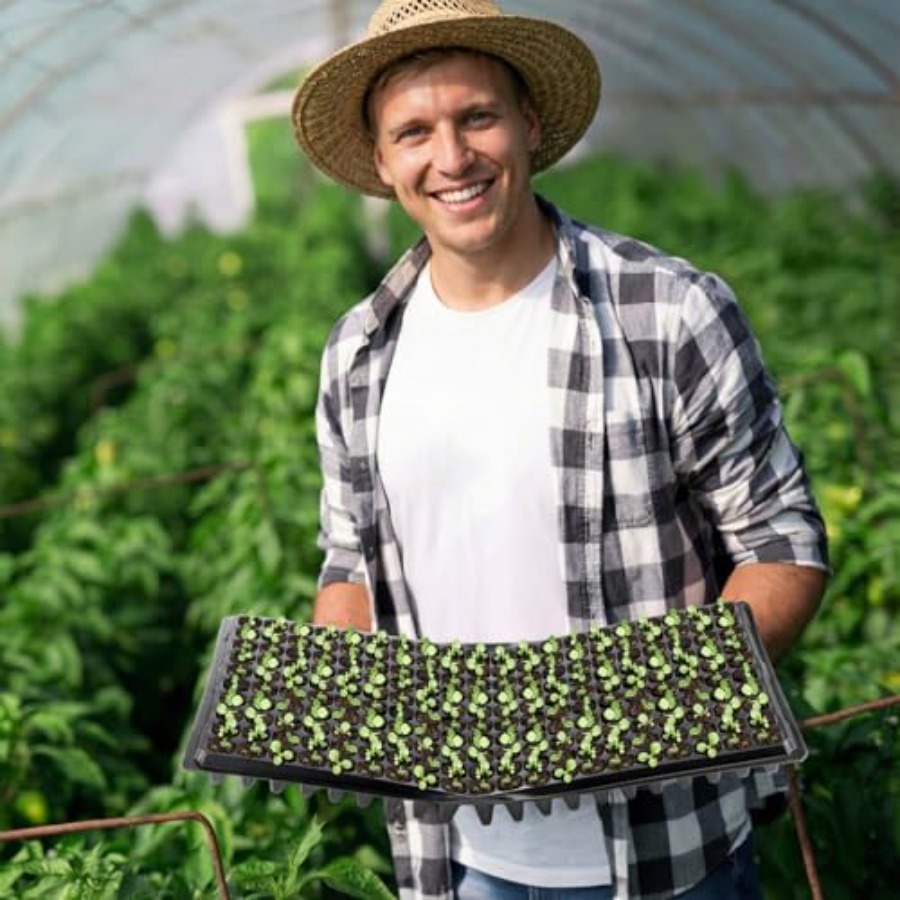 Pack 200 Cell Seedling Trays S – Seed Starter Trays recenzja i cena