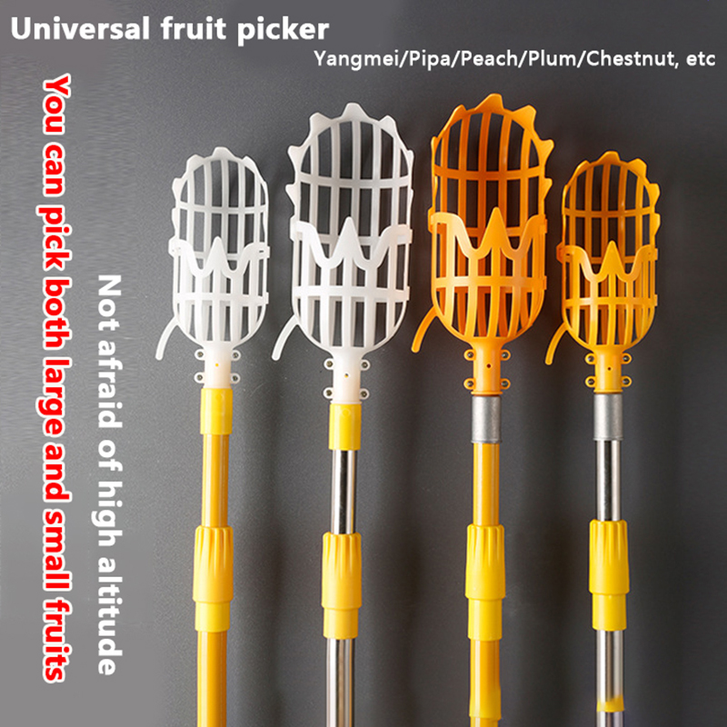 Picking Loquat Picking Bayberr – Gardening Tools Rack recenzja i cena