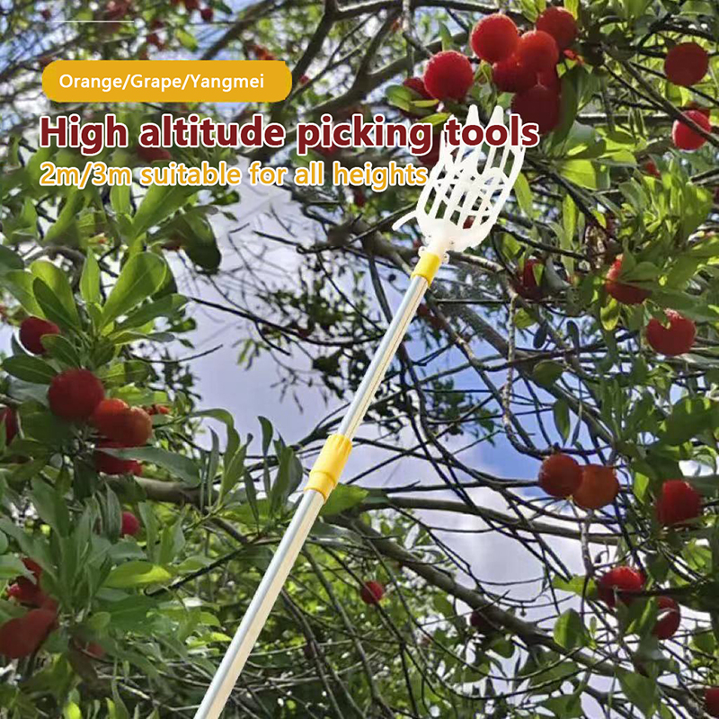 Picking Loquat Picking Bayberr – Gardening Tools Rack recenzja i cena