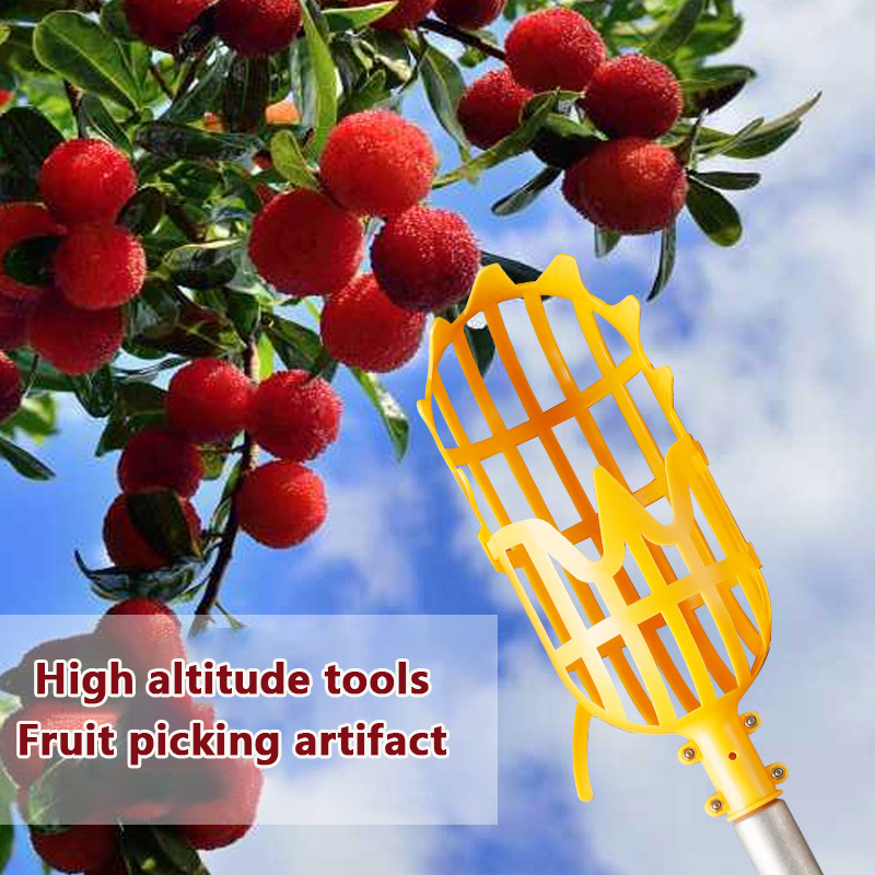 Picking Loquat Picking Bayberr – Gardening Tools Rack recenzja i cena