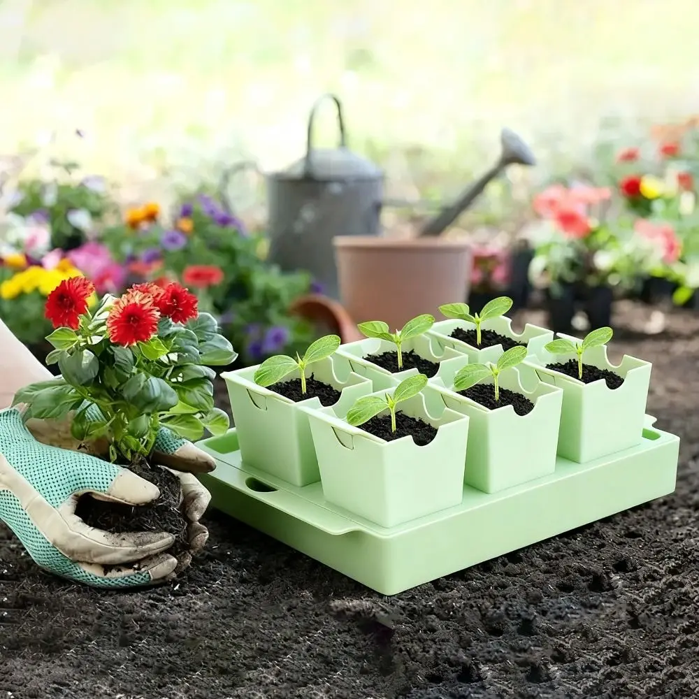 Dual-Purpose Seed Starter Tray – Seed Starter Trays recenzja i cena
