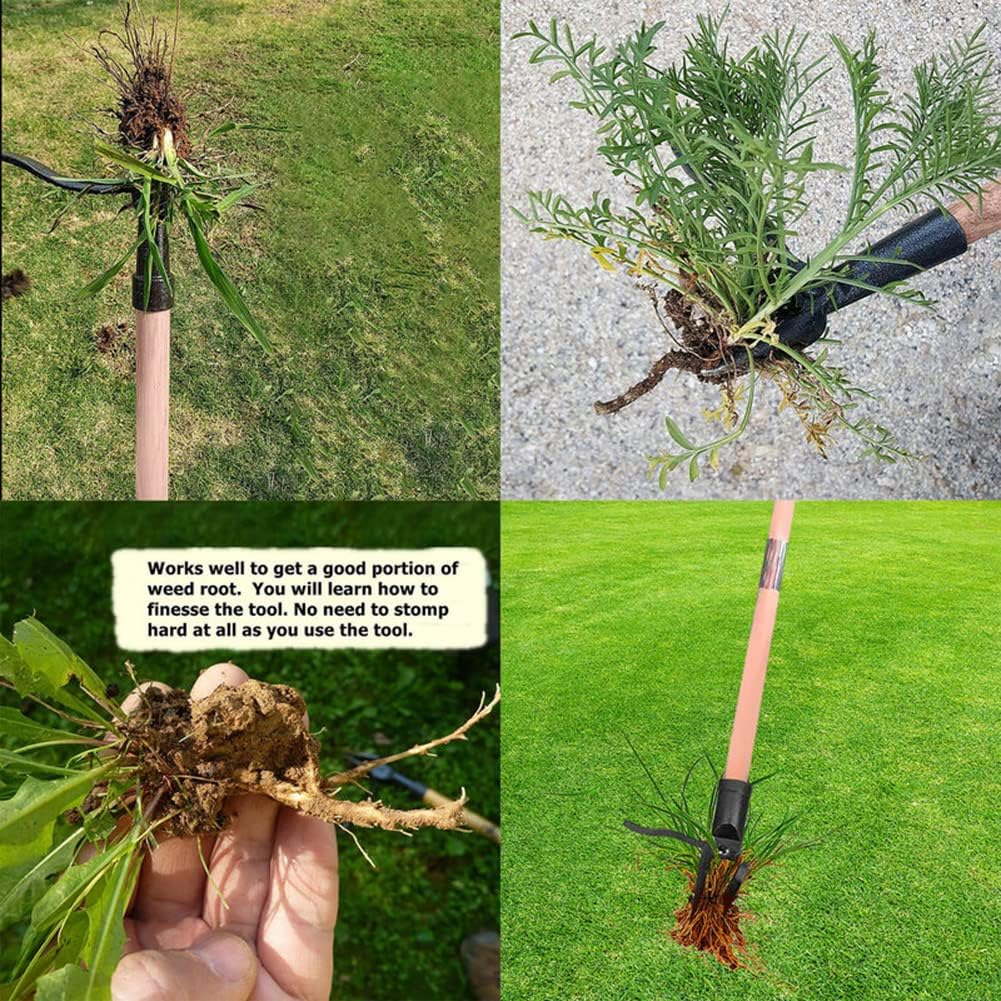 Stand Up Weed Puller Tool Deta – Gardening Tools To Remove Weeds recenzja i cena