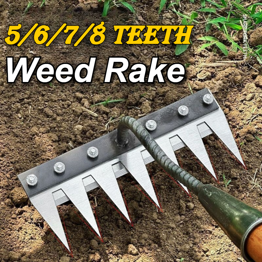Garden Weed Remover Tools 5/6/ – Gardening Tools To Remove Weeds recenzja i cena