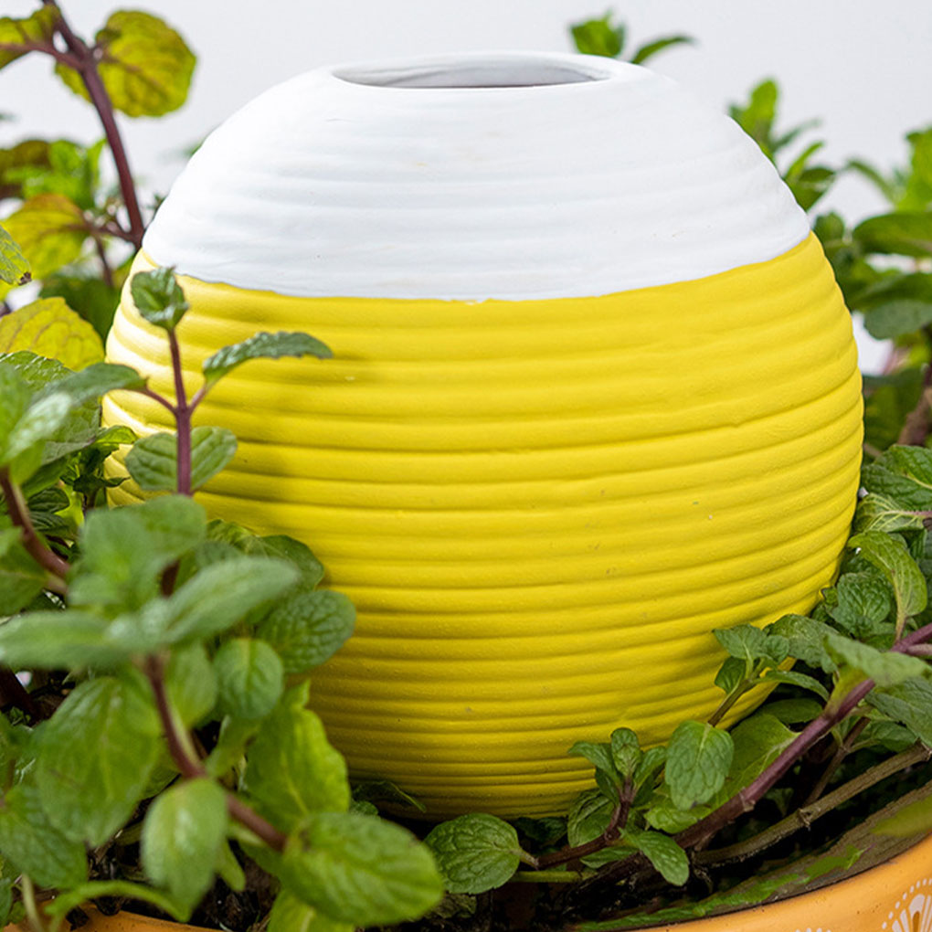 Ceramics Automatic Plant Water – Gardening Tools Must Haves recenzja i cena