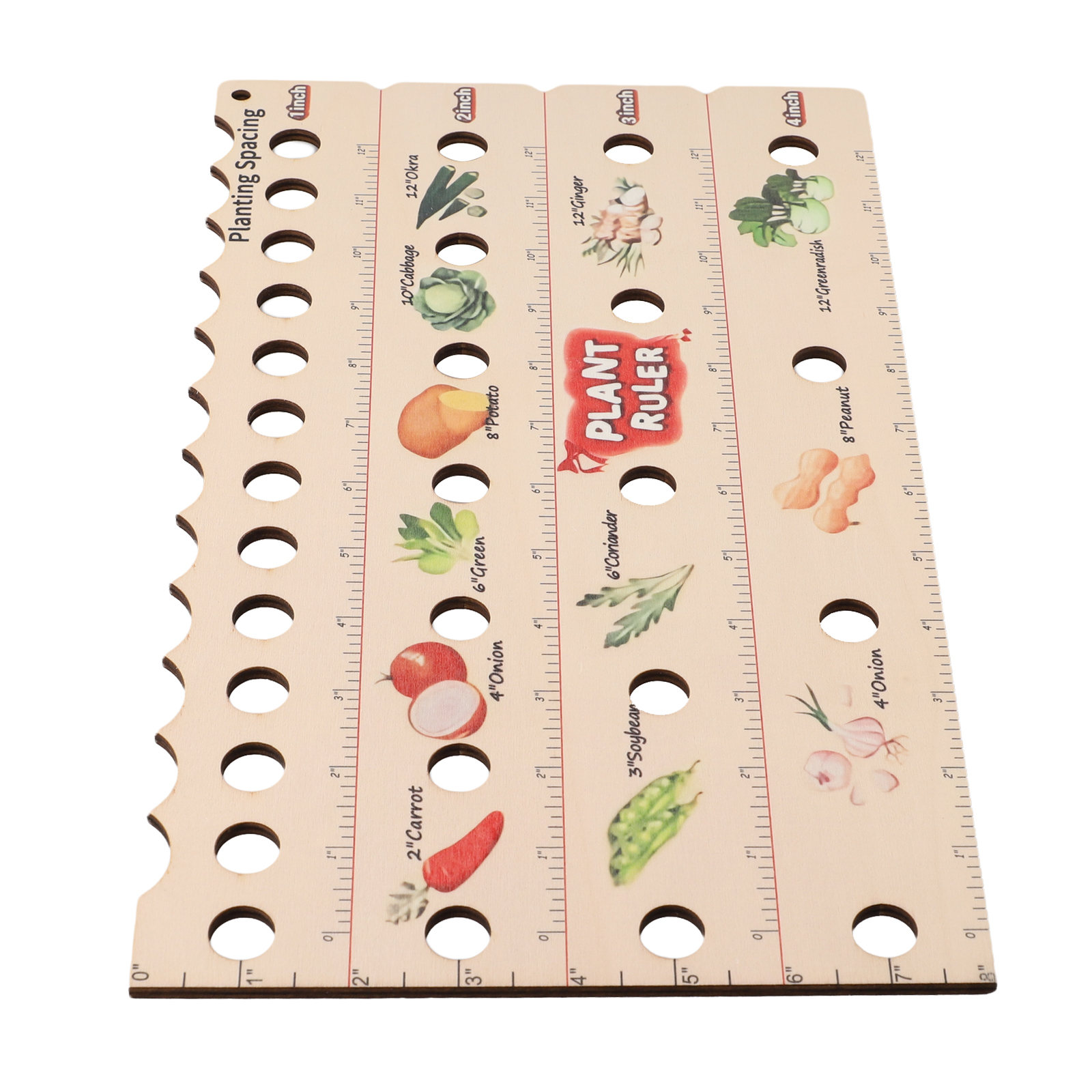 High Quality Plant Ruler Plant – Gardening Tools High Quality recenzja i cena
