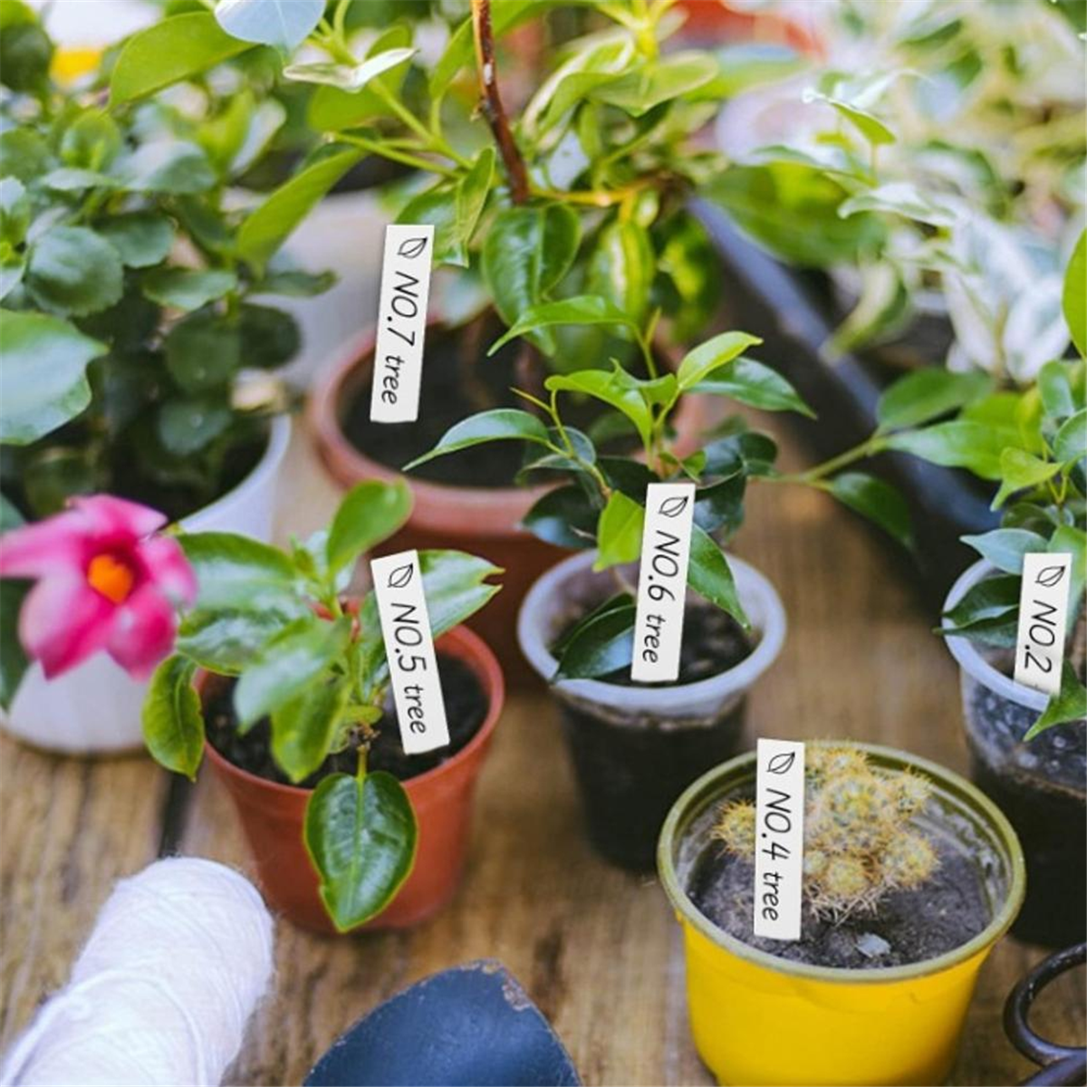 【Must-haves】Gardening tool – Gardening Tools Must Haves recenzja i cena
