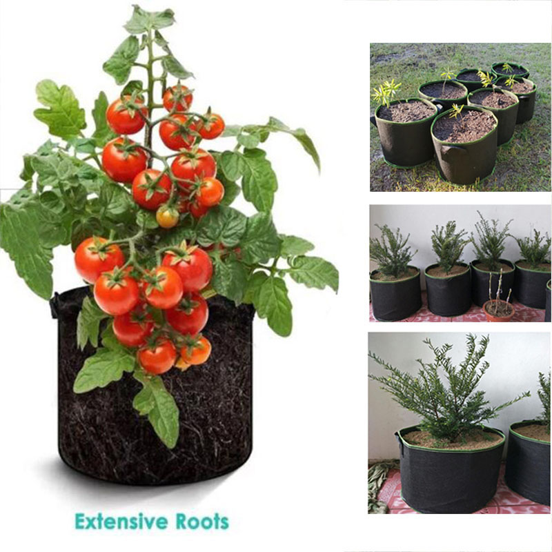 20Gal grow pots vegetable flow – Gardening Tools Big recenzja i cena