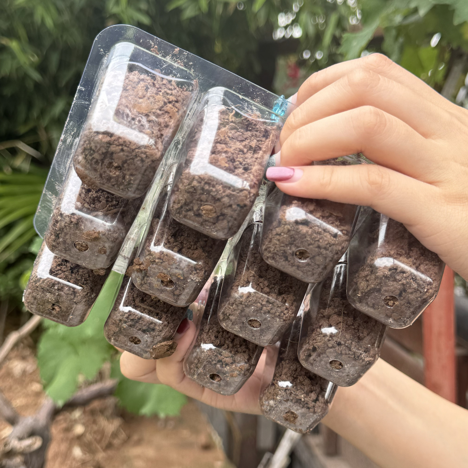 6/12Holes Plant Nursery Tray P – Seed Starter Trays recenzja i cena