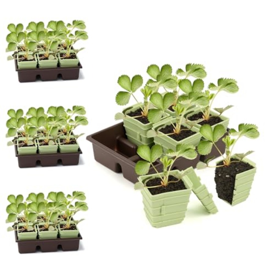 Side-Open Seed Starter Tray 8- – Seed Starter Trays recenzja i cena