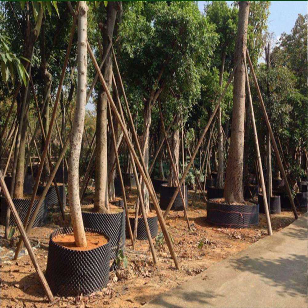 Grow Container Garden Tree Bon – Gardening Tools In recenzja i cena