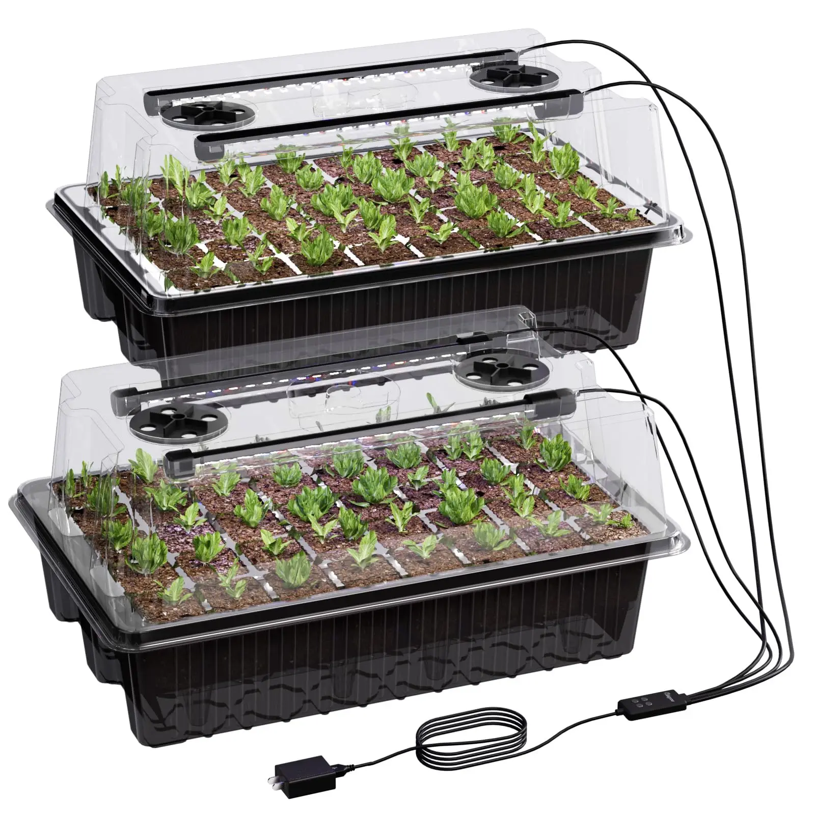 80-Cell Self-Watering Seed Sta – Seed Starter Trays recenzja i cena