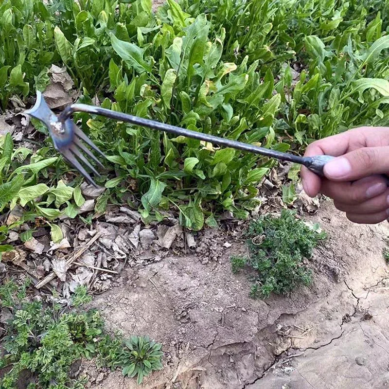 Garden Weeders Grass Hand Weed – Gardening Tools To Remove Weeds recenzja i cena