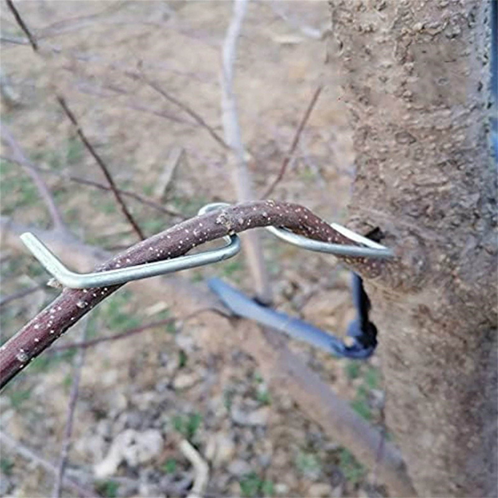 Fruit Tree Branch Bender Metal – Gardening Tools Must Haves recenzja i cena