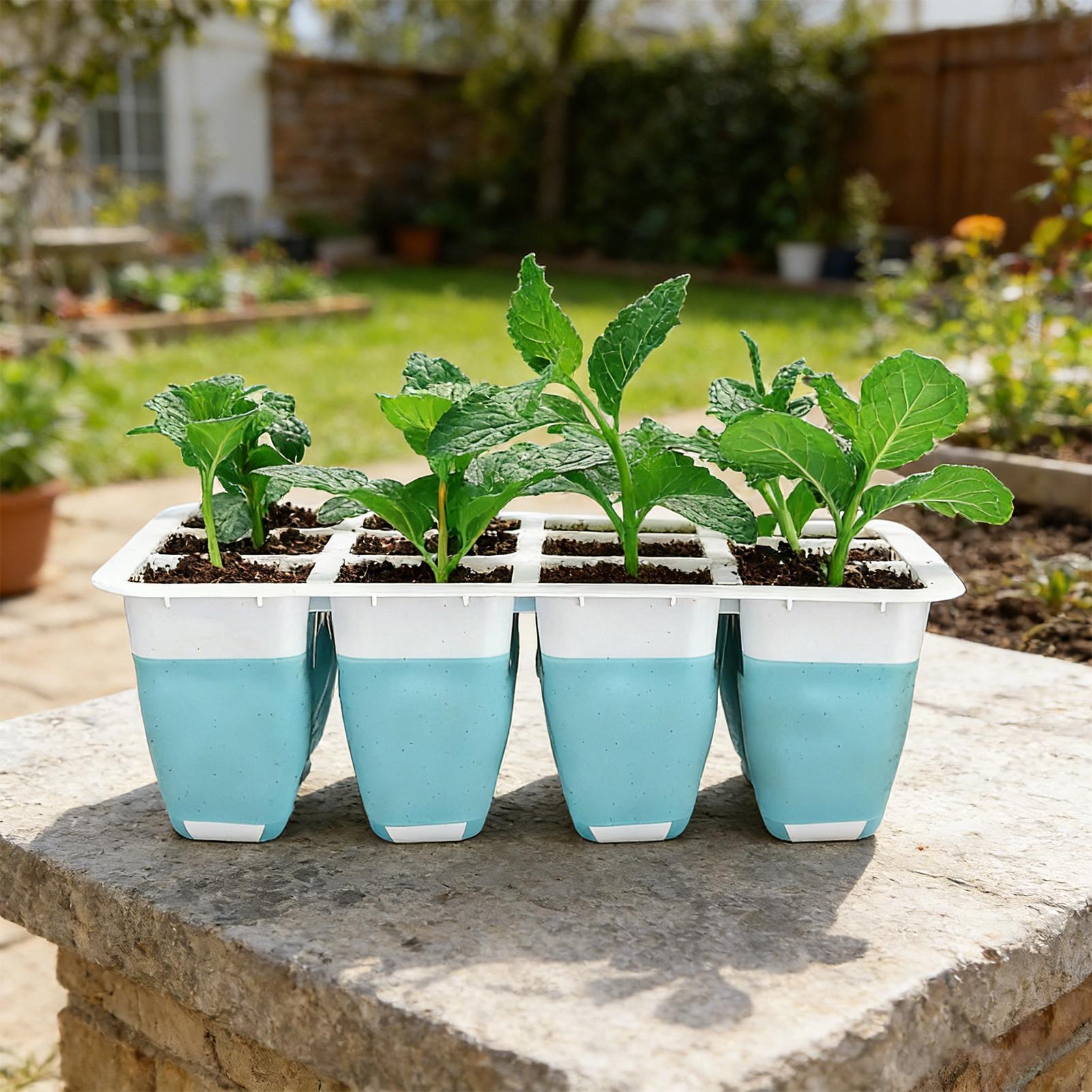 5 Pack Silicone Seed Starter T – Seed Starter Trays recenzja i cena