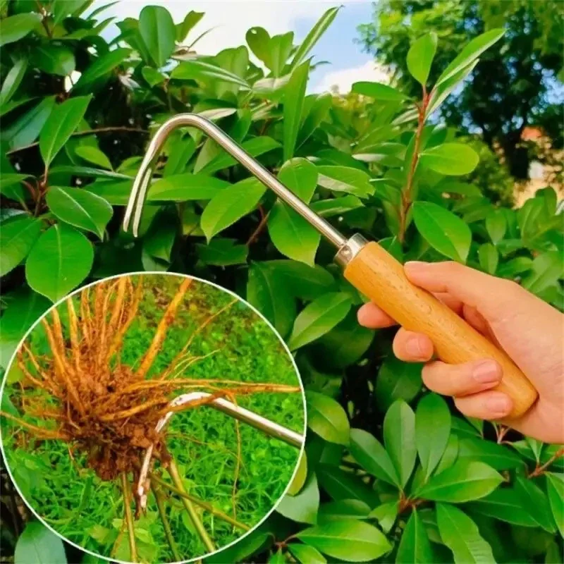 Stainless Steel Gardening Weed – Gardening Tools To Remove Weeds recenzja i cena