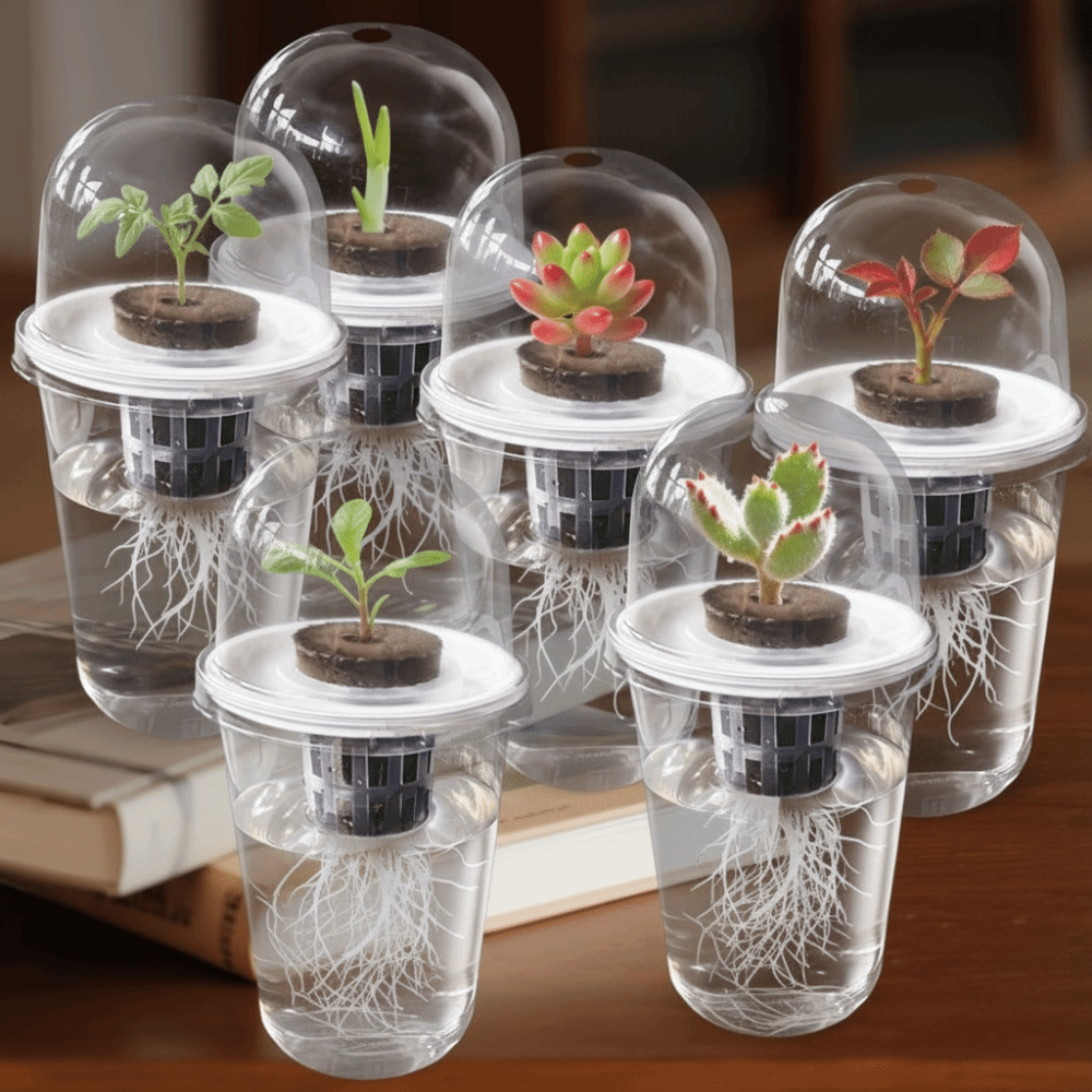 1-5pc Visible Clear Plants Ger – Seed Starter Trays recenzja i cena