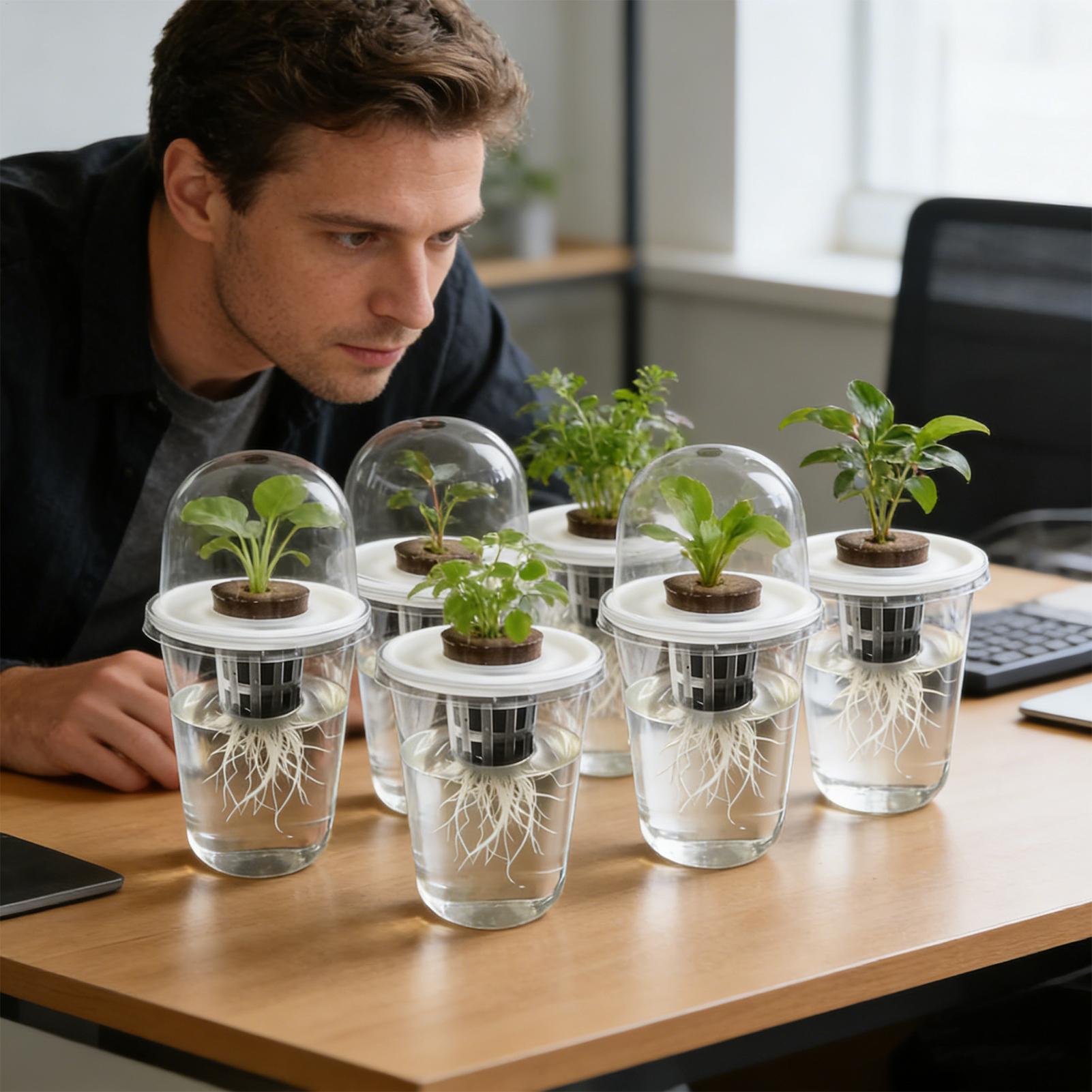 1-5pc Visible Clear Plants Ger – Seed Starter Trays recenzja i cena