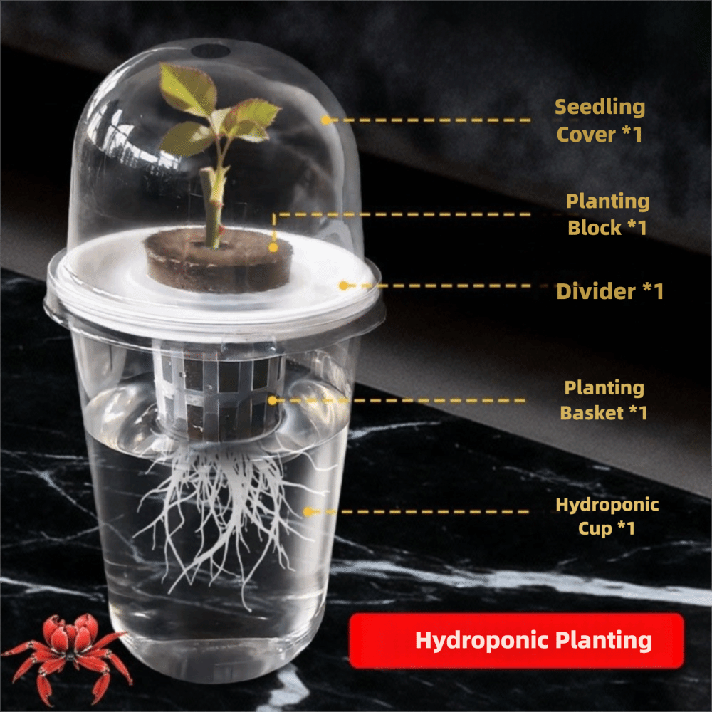 1-5pc Visible Clear Plants Ger – Seed Starter Trays recenzja i cena