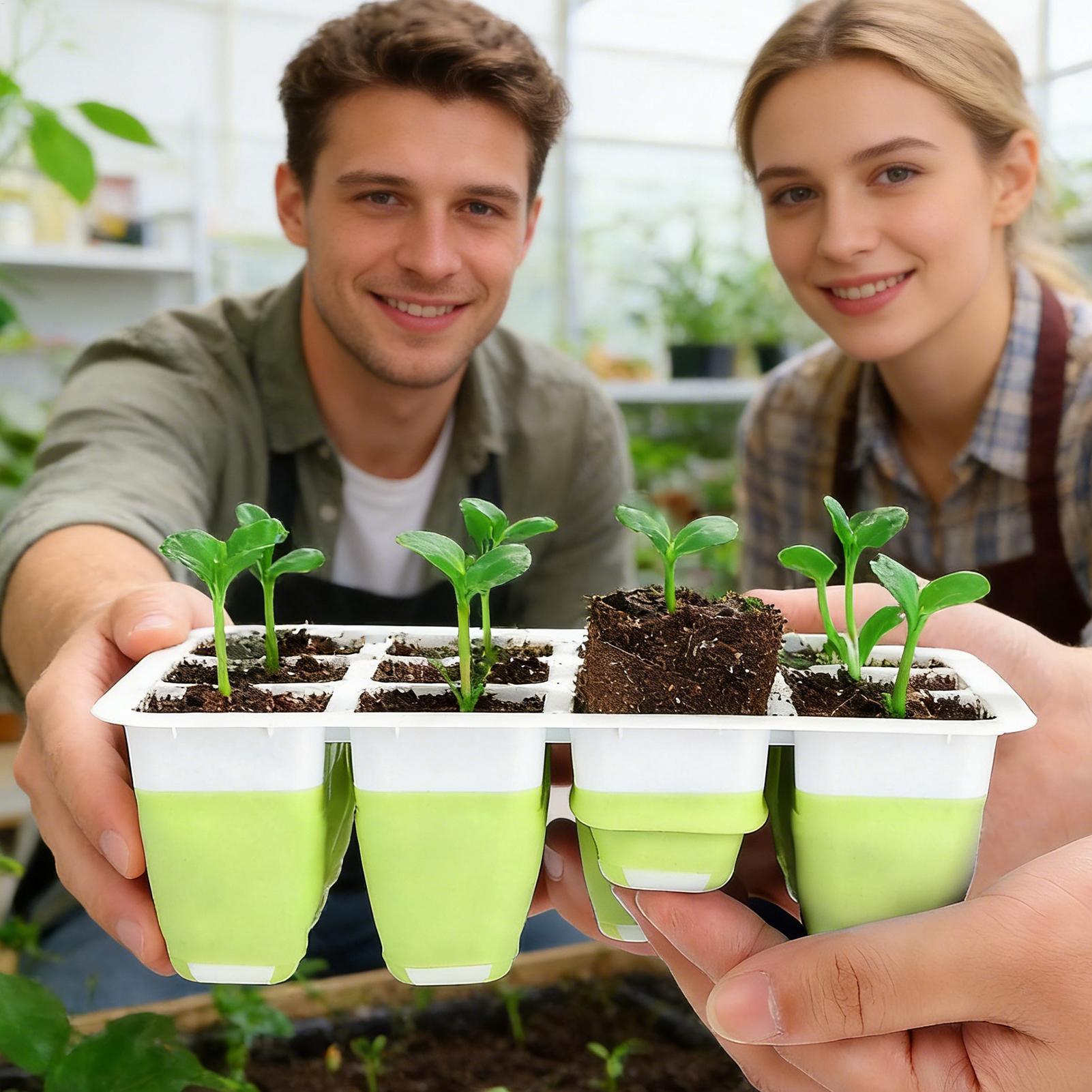 12-Cell Silicone Seedling Star – Seed Starter Trays recenzja i cena