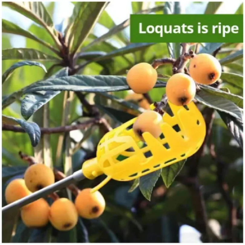 Farm Garden Picking Tools Frui – Gardening Tools Rack recenzja i cena