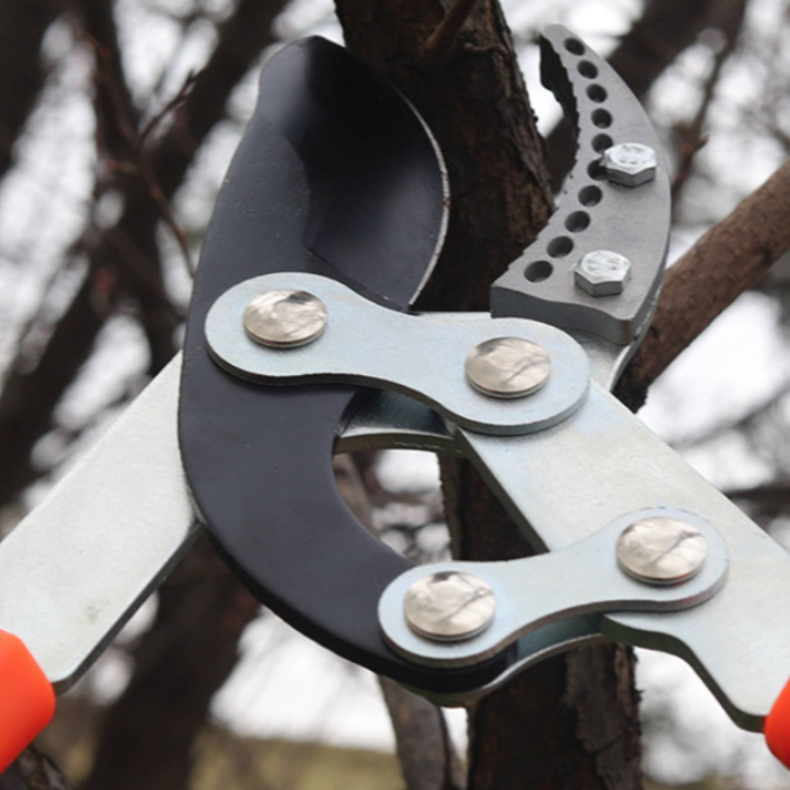 Telescopic Branch Pruners Shar – Gardening Tools In recenzja i cena