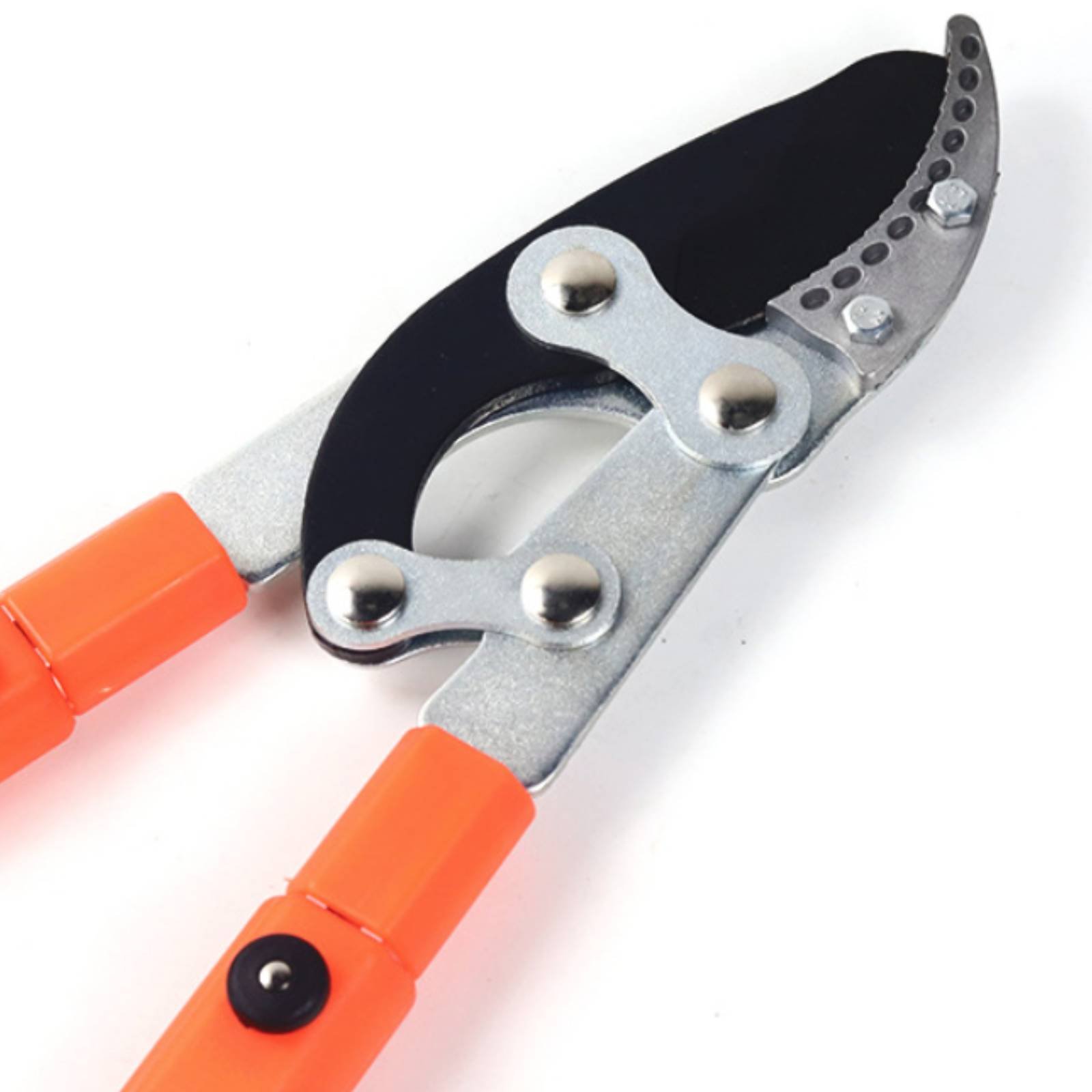 Telescopic Branch Pruners Shar – Gardening Tools In recenzja i cena