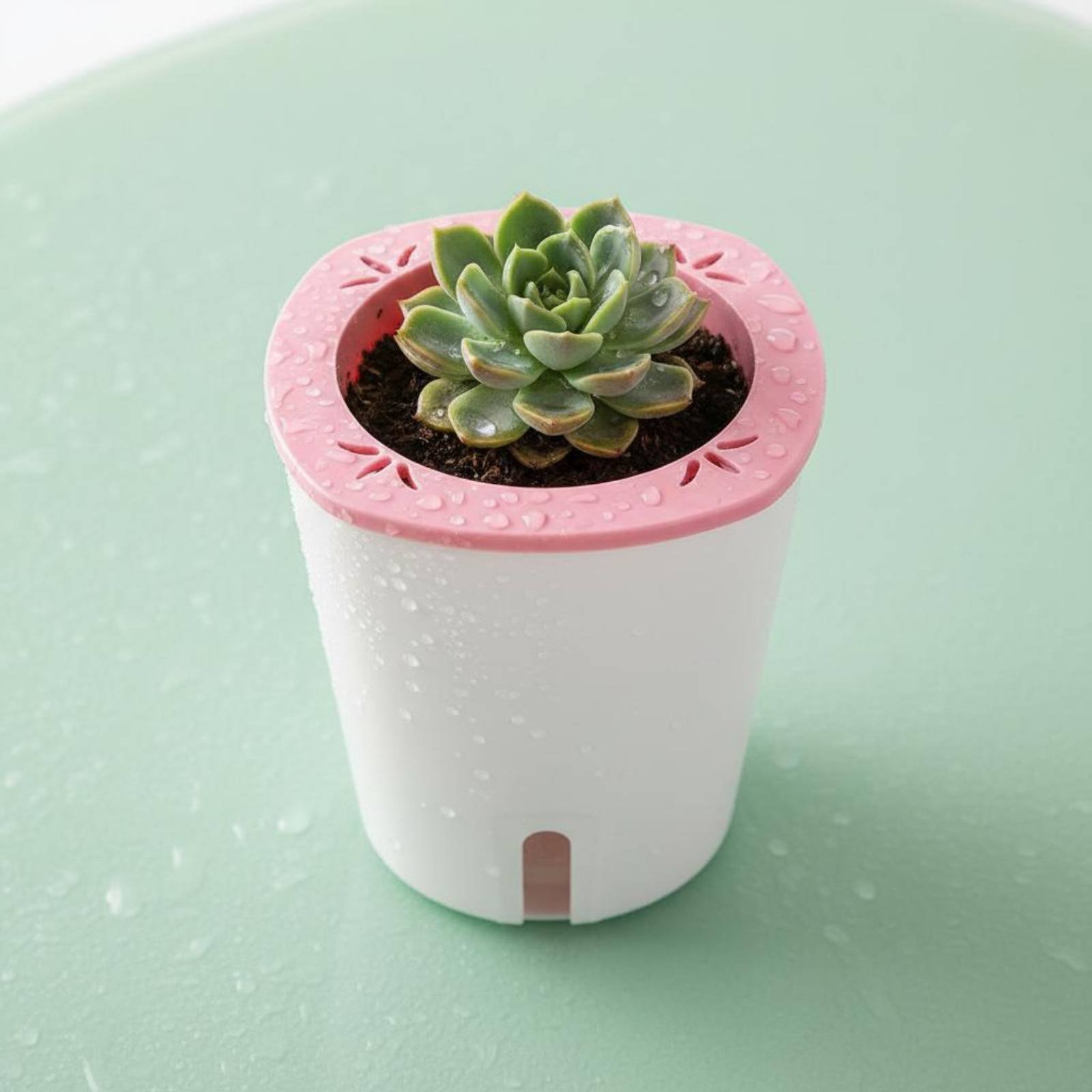 Self Watering Planter Large Si – Gardening Tools In recenzja i cena