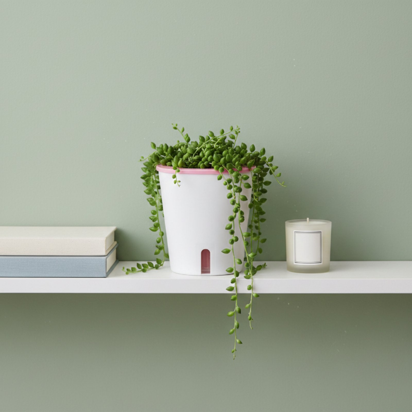 Self Watering Planter Large Si – Gardening Tools In recenzja i cena