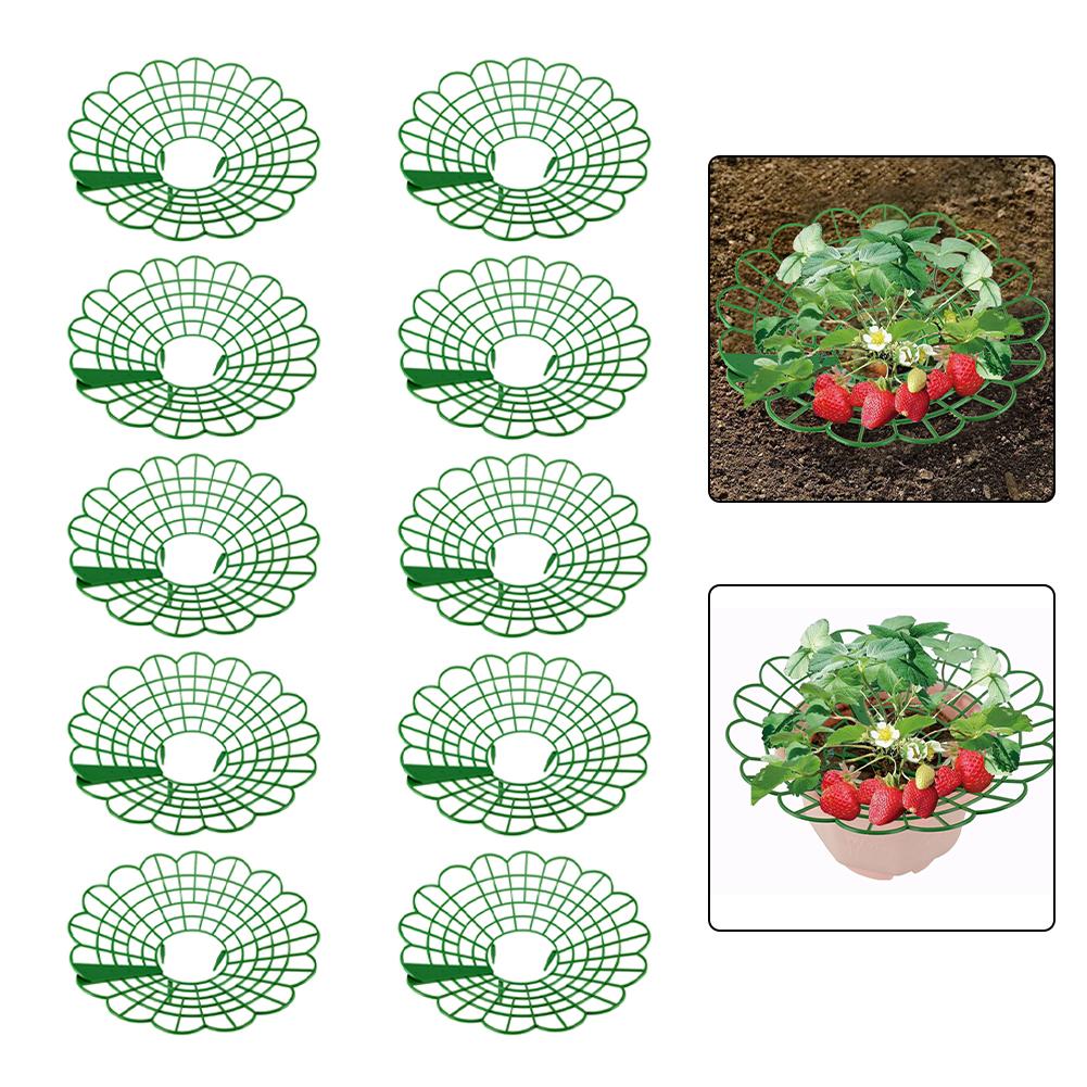 5/10PCS Round Strawberry Brack – Gardening Tools Rack recenzja i cena