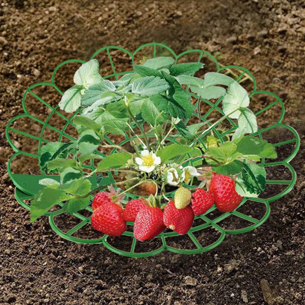 5/10PCS Round Strawberry Brack – Gardening Tools Rack recenzja i cena