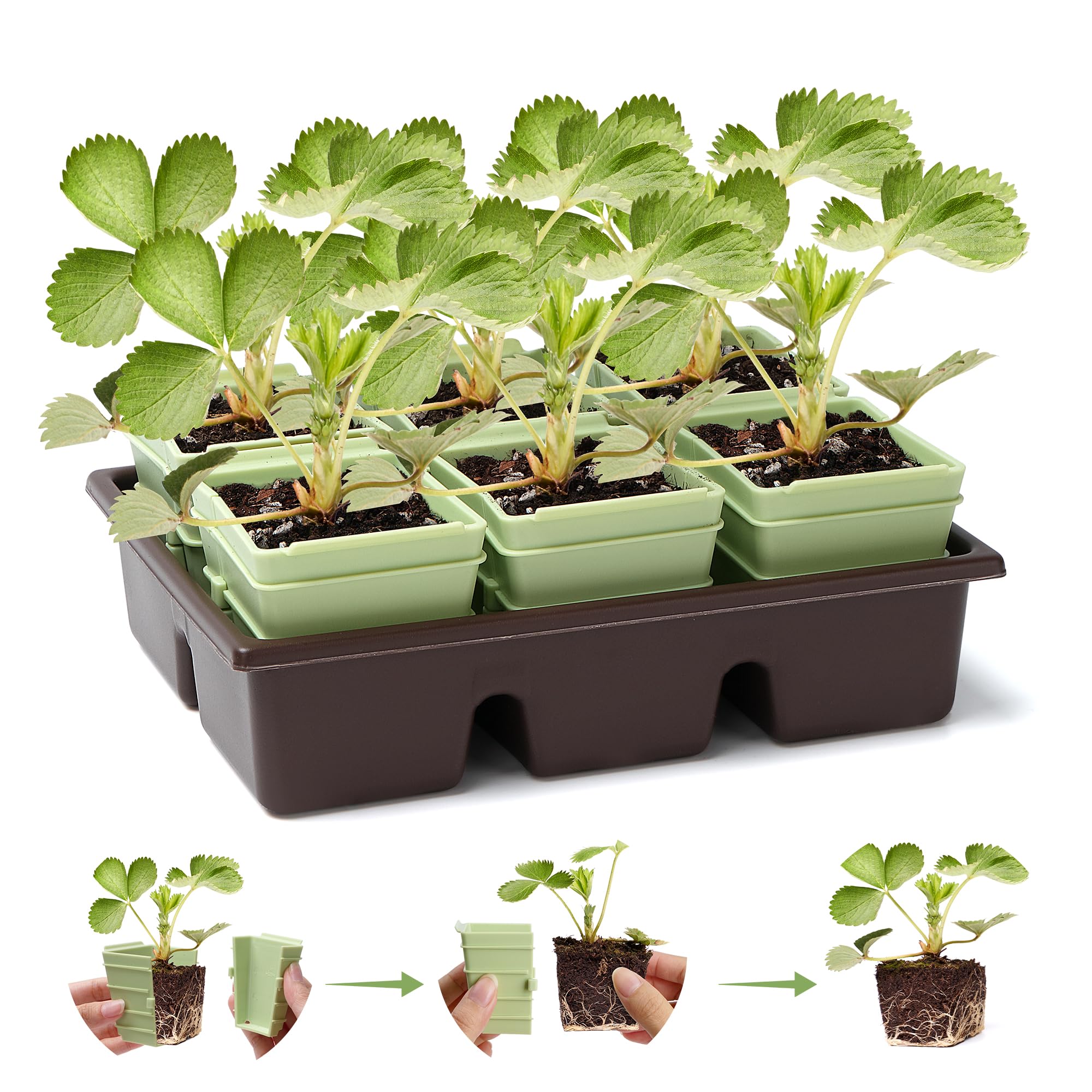 Side-Open Seed Starter Tray 8- – Seed Starter Trays recenzja i cena
